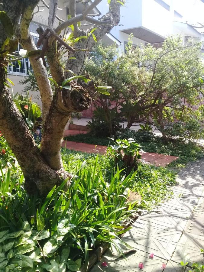 Hostel Nossa Casa Florianopolis Bagian luar foto